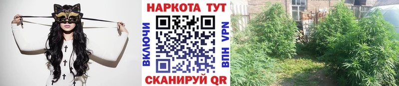 Купить наркотики сайты Ессентукская ГАШ Alpha PVP Псилоцибиновые грибы АМФЕТАМИН Бошки Шишки omg Кокаин Меф мяу мяу