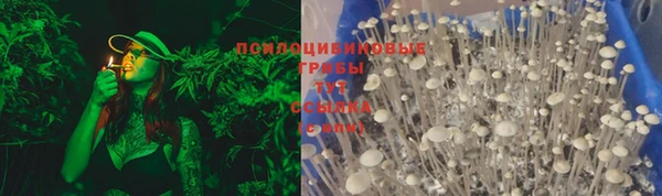 бошки Абаза