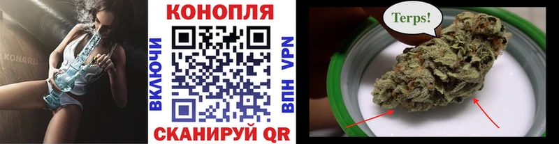 Каннабис план  Ессентукская 